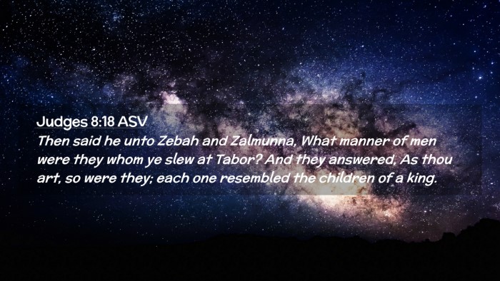 Picture 02 - Judges 8:18 ASV Desktop Wallpaper - Then said he unto Zebah and Zalmunna, What manner - Desktop Bible Verse Wallpaper
