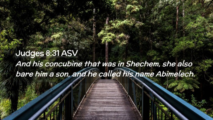 Picture 02 - Judges 8:31 ASV Desktop Wallpaper - And his concubine that was in Shechem, she also - Desktop Bible Verse Wallpaper