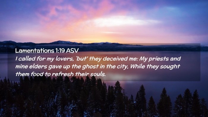 Picture 02 - Lamentations 1:19 ASV Desktop Wallpaper - I called for my lovers, `but' they deceived me: - Desktop Bible Verse Wallpaper