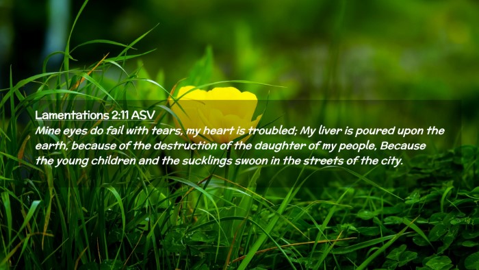 Picture 02 - Lamentations 2:11 ASV Desktop Wallpaper - Mine eyes do fail with tears, my heart is - Desktop Bible Verse Wallpaper