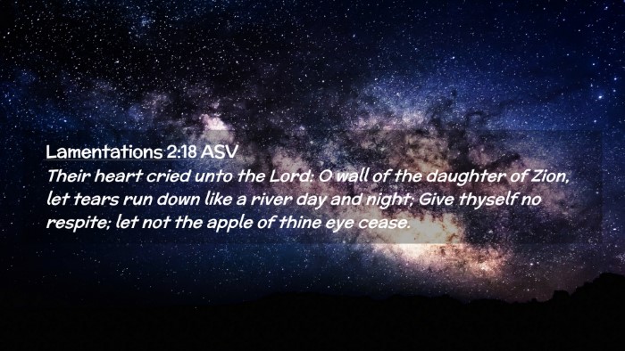 Picture 02 - Lamentations 2:18 ASV Desktop Wallpaper - Their heart cried unto the Lord: O wall of the - Desktop Bible Verse Wallpaper