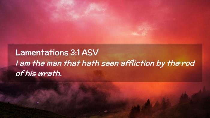 Picture 02 - Lamentations 3:1 ASV Desktop Wallpaper - I am the man that hath seen affliction by the rod - Desktop Bible Verse Wallpaper