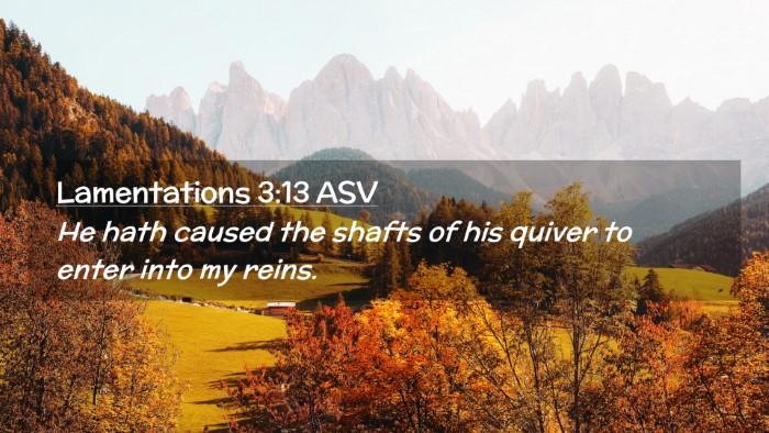 Picture 02 - Lamentations 3:13 ASV Desktop Wallpaper - He hath caused the shafts of his quiver to enter - Desktop Bible Verse Wallpaper