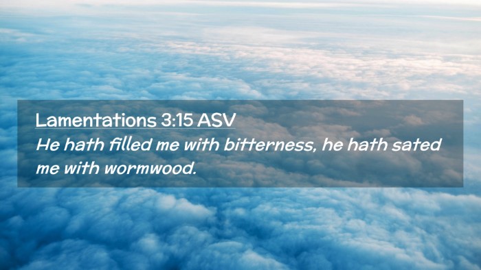 Picture 02 - Lamentations 3:15 ASV Desktop Wallpaper - He hath filled me with bitterness, he hath sated - Desktop Bible Verse Wallpaper