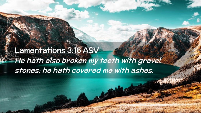 Picture 02 - Lamentations 3:16 ASV Desktop Wallpaper - He hath also broken my teeth with gravel stones; - Desktop Bible Verse Wallpaper
