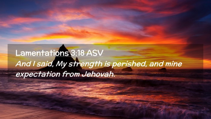 Picture 02 - Lamentations 3:18 ASV Desktop Wallpaper - And I said, My strength is perished, and mine - Desktop Bible Verse Wallpaper