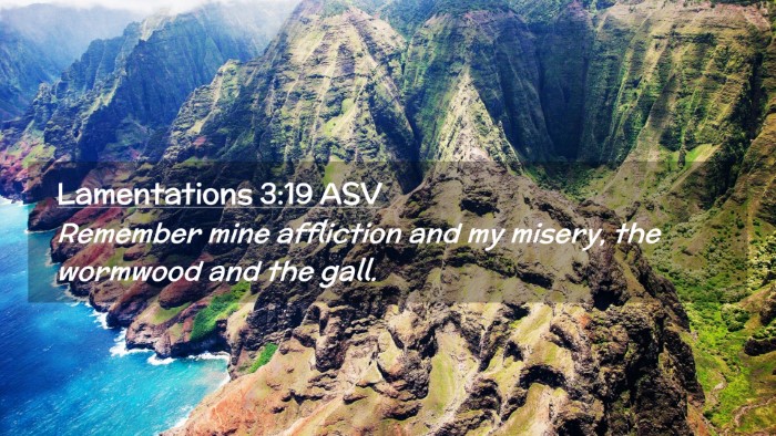 Picture 02 - Lamentations 3:19 ASV Desktop Wallpaper - Remember mine affliction and my misery, the - Desktop Bible Verse Wallpaper