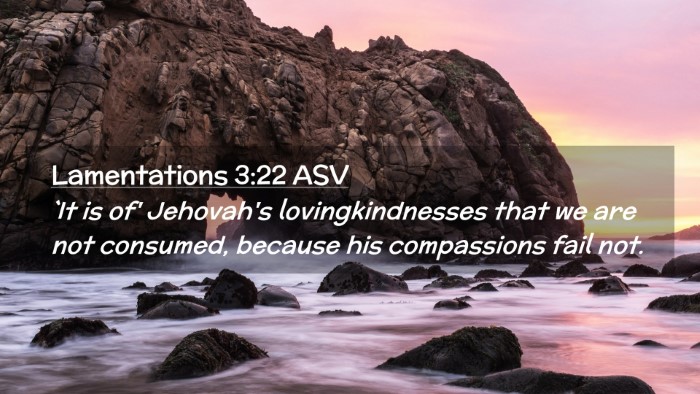 Picture 02 - Lamentations 3:22 ASV Desktop Wallpaper - `It is of' Jehovah's lovingkindnesses that we are - Desktop Bible Verse Wallpaper