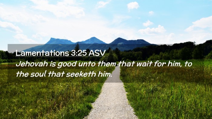 Picture 02 - Lamentations 3:25 ASV Desktop Wallpaper - Jehovah is good unto them that wait for him, to - Desktop Bible Verse Wallpaper