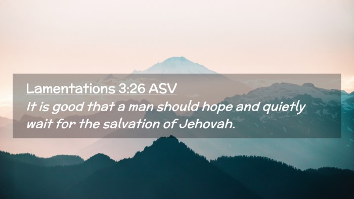 Picture 02 - Lamentations 3:26 ASV Desktop Wallpaper - It is good that a man should hope and quietly - Desktop Bible Verse Wallpaper
