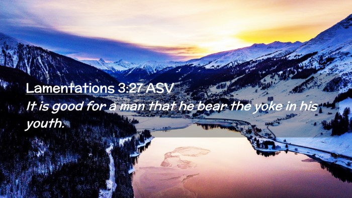 Picture 02 - Lamentations 3:27 ASV Desktop Wallpaper - It is good for a man that he bear the yoke in his - Desktop Bible Verse Wallpaper