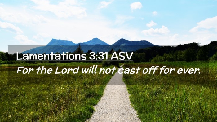 Picture 02 - Lamentations 3:31 ASV Desktop Wallpaper - For the Lord will not cast off for - Desktop Bible Verse Wallpaper