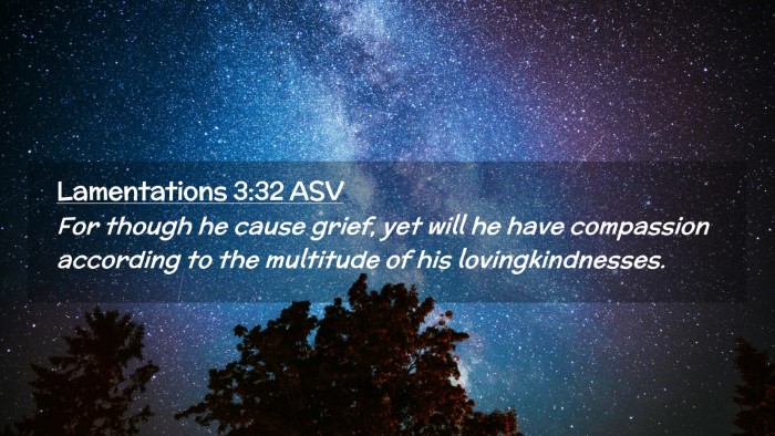 Picture 02 - Lamentations 3:32 ASV Desktop Wallpaper - For though he cause grief, yet will he have - Desktop Bible Verse Wallpaper