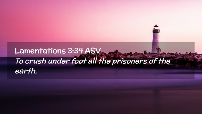 Picture 02 - Lamentations 3:34 ASV Desktop Wallpaper - To crush under foot all the prisoners of the - Desktop Bible Verse Wallpaper
