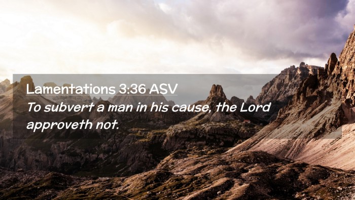Picture 02 - Lamentations 3:36 ASV Desktop Wallpaper - To subvert a man in his cause, the Lord approveth - Desktop Bible Verse Wallpaper
