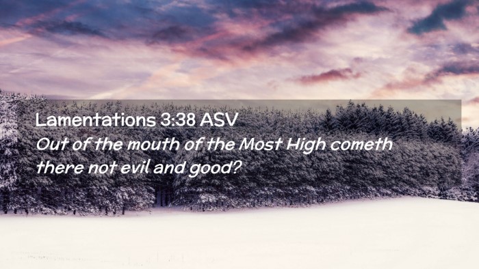 Picture 02 - Lamentations 3:38 ASV Desktop Wallpaper - Out of the mouth of the Most High cometh there - Desktop Bible Verse Wallpaper