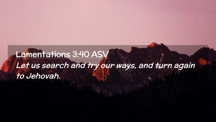 Picture 02 - Lamentations 3:40 ASV Desktop Wallpaper - Let us search and try our ways, and turn again to - Desktop Bible Verse Wallpaper