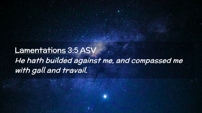 Picture 02 - Lamentations 3:5 ASV Desktop Wallpaper - He hath builded against me, and compassed me with - Desktop Bible Verse Wallpaper
