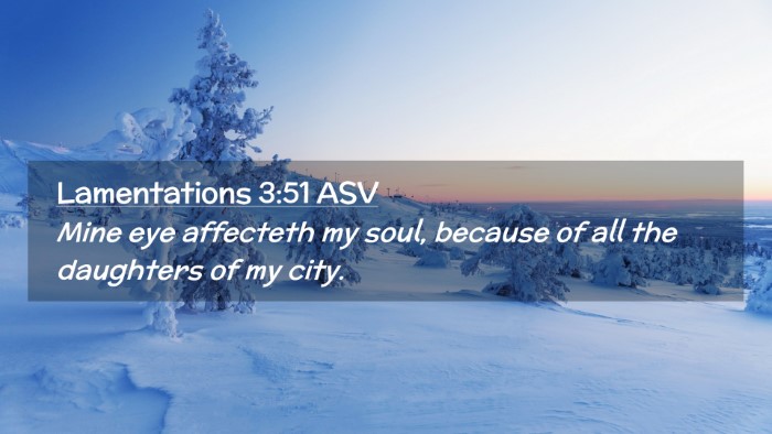 Picture 02 - Lamentations 3:51 ASV Desktop Wallpaper - Mine eye affecteth my soul, because of all the - Desktop Bible Verse Wallpaper