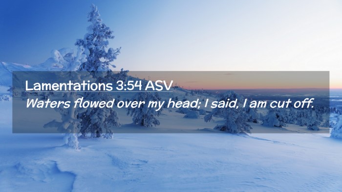 Picture 02 - Lamentations 3:54 ASV Desktop Wallpaper - Waters flowed over my head; I said, I am cut - Desktop Bible Verse Wallpaper