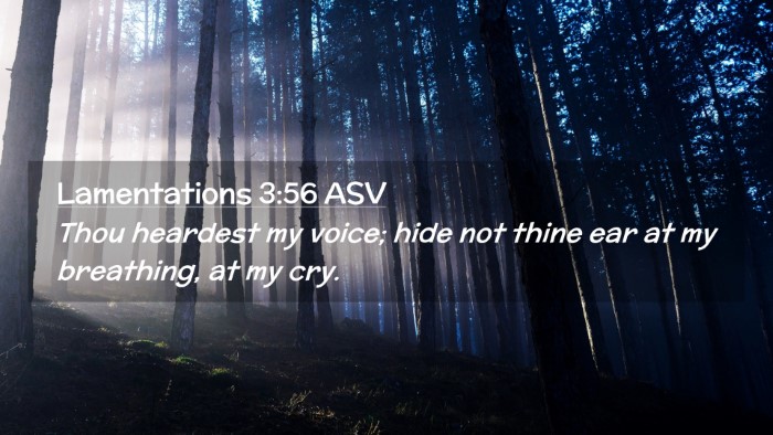 Picture 02 - Lamentations 3:56 ASV Desktop Wallpaper - Thou heardest my voice; hide not thine ear at my - Desktop Bible Verse Wallpaper