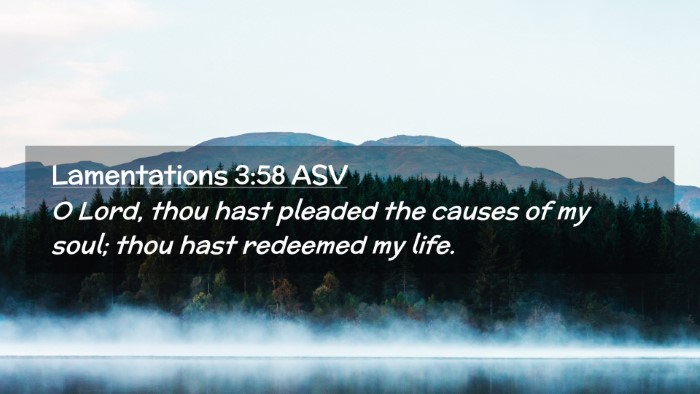Picture 02 - Lamentations 3:58 ASV Desktop Wallpaper - O Lord, thou hast pleaded the causes of my soul; - Desktop Bible Verse Wallpaper