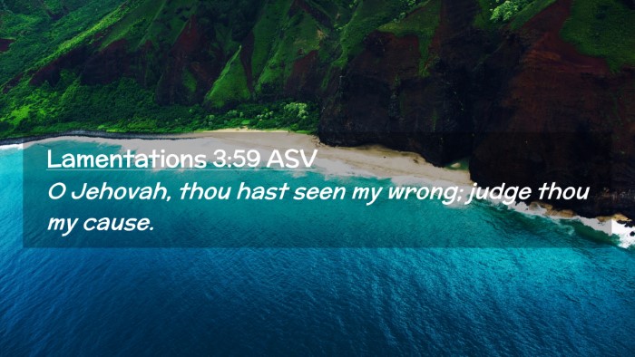Picture 02 - Lamentations 3:59 ASV Desktop Wallpaper - O Jehovah, thou hast seen my wrong; judge thou my - Desktop Bible Verse Wallpaper