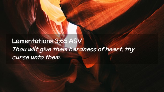 Picture 02 - Lamentations 3:65 ASV Desktop Wallpaper - Thou wilt give them hardness of heart, thy curse - Desktop Bible Verse Wallpaper