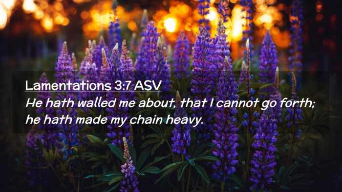 Picture 02 - Lamentations 3:7 ASV Desktop Wallpaper - He hath walled me about, that I cannot go forth; - Desktop Bible Verse Wallpaper