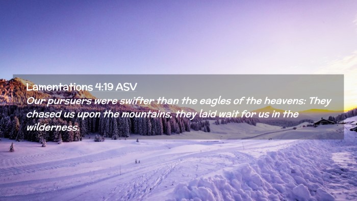 Picture 02 - Lamentations 4:19 ASV Desktop Wallpaper - Our pursuers were swifter than the eagles of the - Desktop Bible Verse Wallpaper