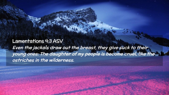 Picture 02 - Lamentations 4:3 ASV Desktop Wallpaper - Even the jackals draw out the breast, they give - Desktop Bible Verse Wallpaper