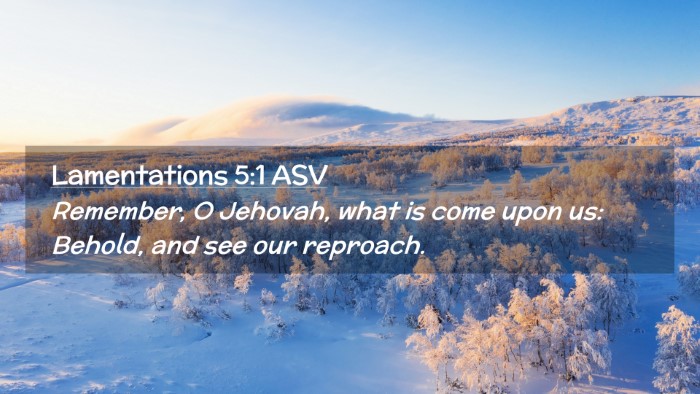 Picture 02 - Lamentations 5:1 ASV Desktop Wallpaper - Remember, O Jehovah, what is come upon us: - Desktop Bible Verse Wallpaper