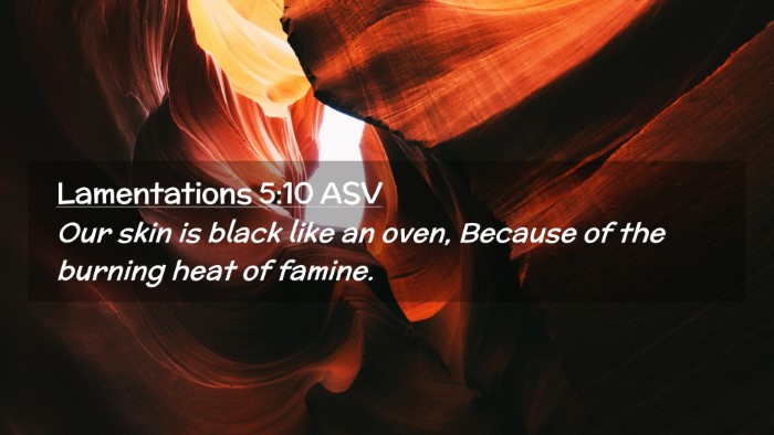 Picture 02 - Lamentations 5:10 ASV Desktop Wallpaper - Our skin is black like an oven, Because of the - Desktop Bible Verse Wallpaper