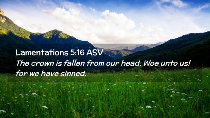 Picture 02 - Lamentations 5:16 ASV Desktop Wallpaper - The crown is fallen from our head: Woe unto us! - Desktop Bible Verse Wallpaper