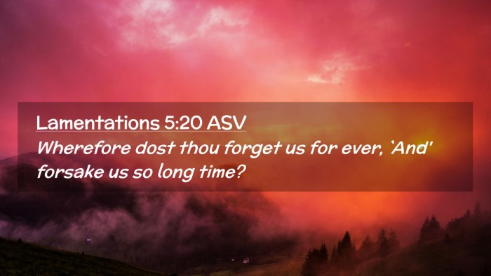 Picture 02 - Lamentations 5:20 ASV Desktop Wallpaper - Wherefore dost thou forget us for ever, `And' - Desktop Bible Verse Wallpaper