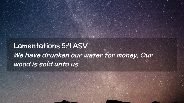 Picture 02 - Lamentations 5:4 ASV Desktop Wallpaper - We have drunken our water for money; Our wood is - Desktop Bible Verse Wallpaper