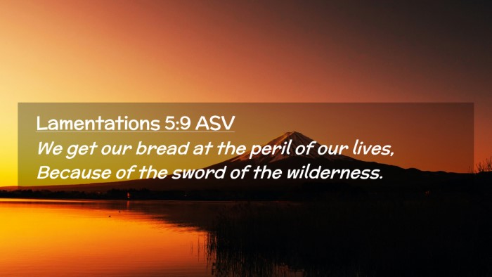 Picture 02 - Lamentations 5:9 ASV Desktop Wallpaper - We get our bread at the peril of our lives, - Desktop Bible Verse Wallpaper
