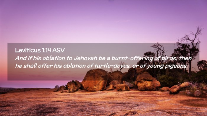 Picture 02 - Leviticus 1:14 ASV Desktop Wallpaper - And if his oblation to Jehovah be a - Desktop Bible Verse Wallpaper