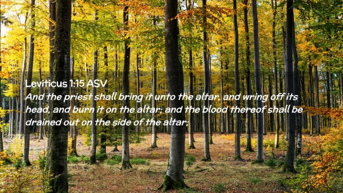 Picture 02 - Leviticus 1:15 ASV Desktop Wallpaper - And the priest shall bring it unto the altar, and - Desktop Bible Verse Wallpaper