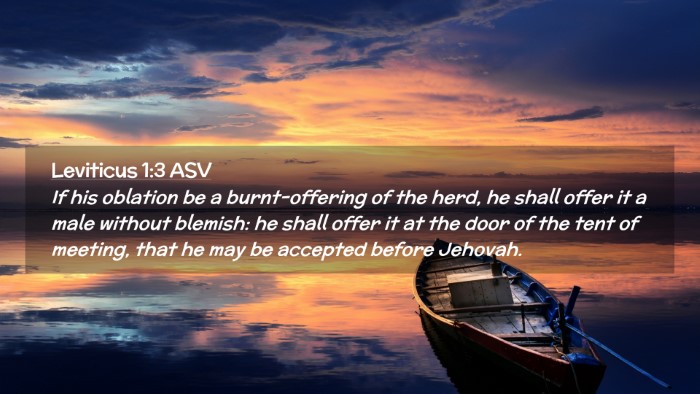 Picture 02 - Leviticus 1:3 ASV Desktop Wallpaper - If his oblation be a burnt-offering of the herd, - Desktop Bible Verse Wallpaper