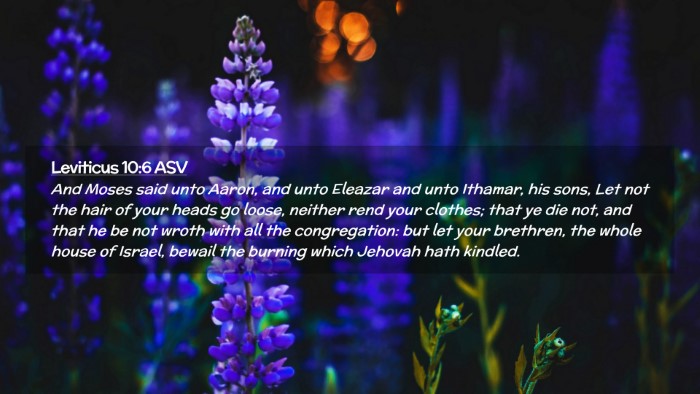 Picture 02 - Leviticus 10:6 ASV Desktop Wallpaper - And Moses said unto Aaron, and unto Eleazar and - Desktop Bible Verse Wallpaper