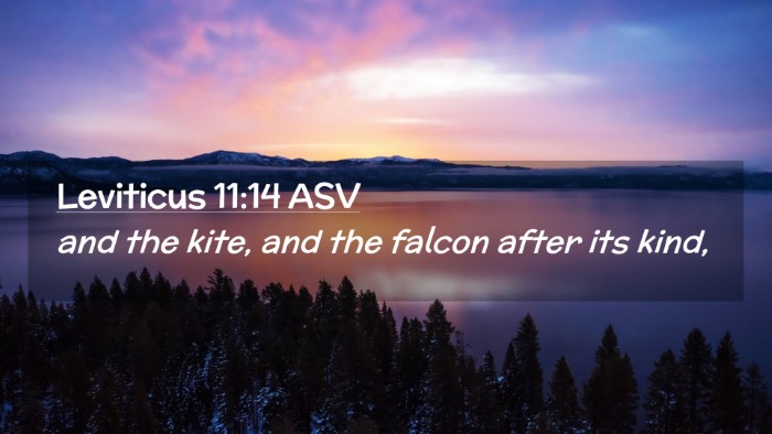 Picture 02 - Leviticus 11:14 ASV Desktop Wallpaper - and the kite, and the falcon after its - Desktop Bible Verse Wallpaper