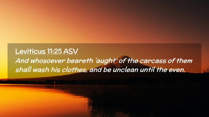 Picture 02 - Leviticus 11:25 ASV Desktop Wallpaper - And whosoever beareth `aught' of the carcass of - Desktop Bible Verse Wallpaper