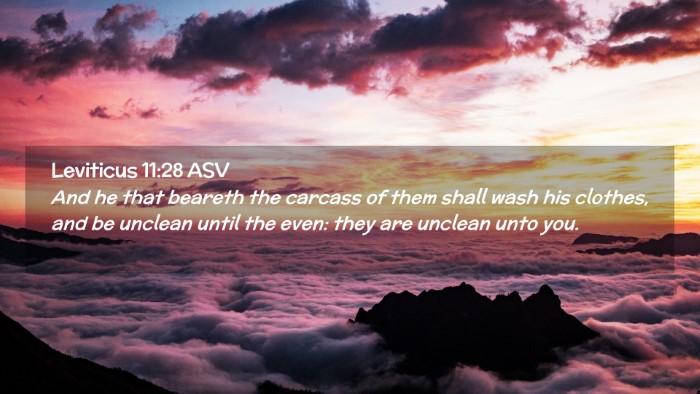 Picture 02 - Leviticus 11:28 ASV Desktop Wallpaper - And he that beareth the carcass of them shall - Desktop Bible Verse Wallpaper