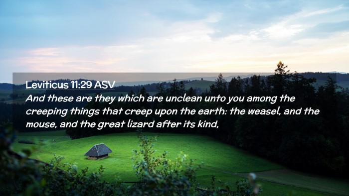Picture 02 - Leviticus 11:29 ASV Desktop Wallpaper - And these are they which are unclean unto you - Desktop Bible Verse Wallpaper