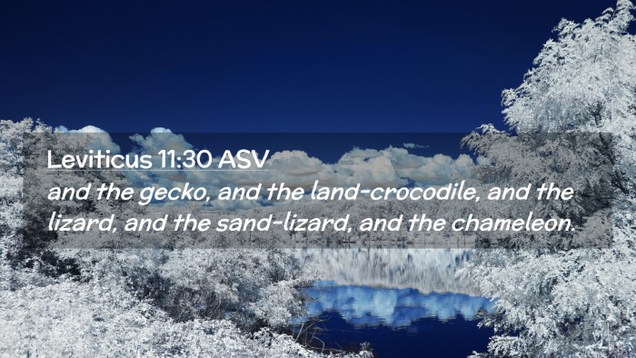 Picture 02 - Leviticus 11:30 ASV Desktop Wallpaper - and the gecko, and the land-crocodile, and the - Desktop Bible Verse Wallpaper