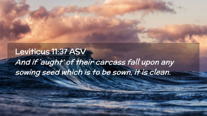 Picture 02 - Leviticus 11:37 ASV Desktop Wallpaper - And if `aught' of their carcass fall upon any - Desktop Bible Verse Wallpaper