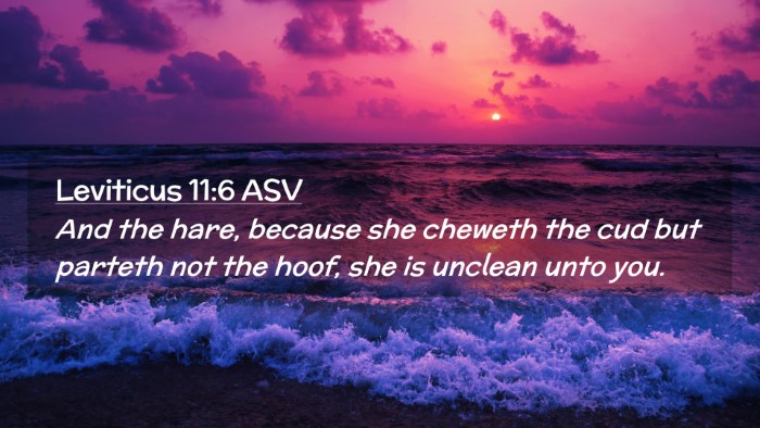 Picture 02 - Leviticus 11:6 ASV Desktop Wallpaper - And the hare, because she cheweth the cud but - Desktop Bible Verse Wallpaper