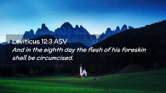 Picture 02 - Leviticus 12:3 ASV Desktop Wallpaper - And in the eighth day the flesh of his foreskin - Desktop Bible Verse Wallpaper