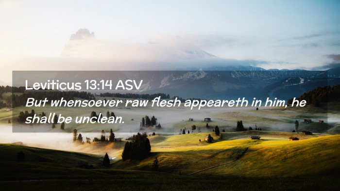 Picture 02 - Leviticus 13:14 ASV Desktop Wallpaper - But whensoever raw flesh appeareth in him, he - Desktop Bible Verse Wallpaper